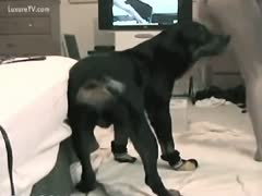 An adorable, once-blameless teen is violated by a beast.